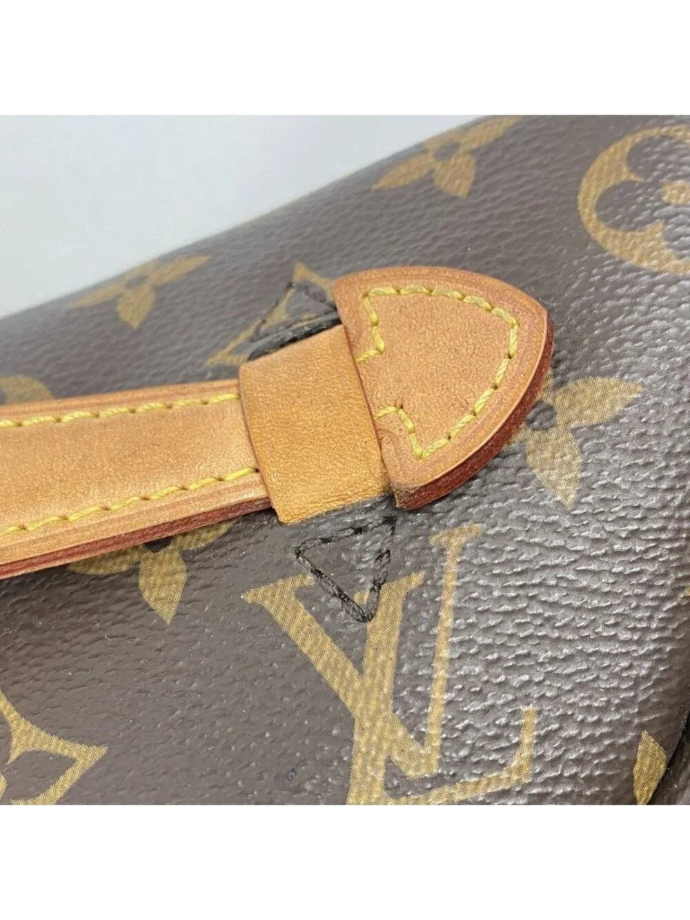 Louis Vuitton Waist Bag Monogram Brown